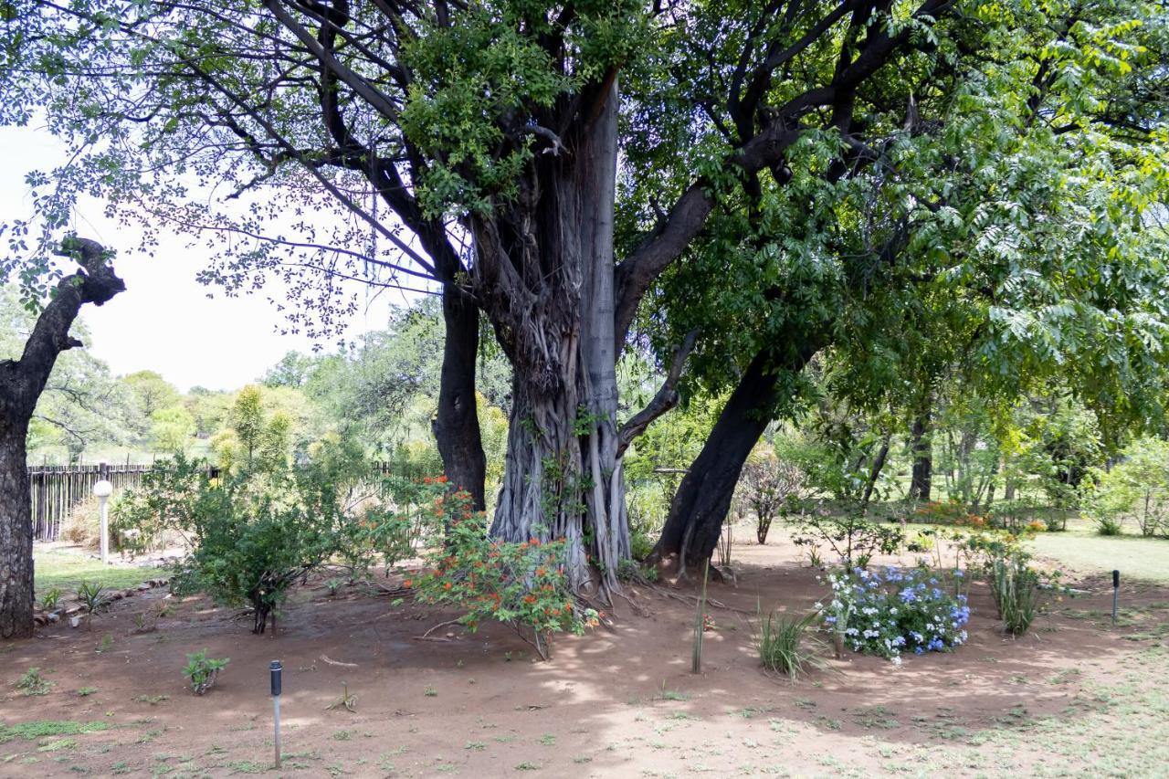 Sunbird Lodge Phalaborwa Exterior photo